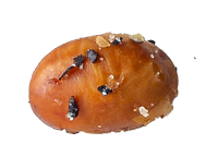 OUR HIGH-PROTEIN SNACK